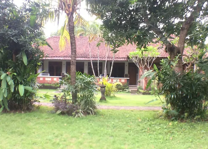 Mangga Bali Legian